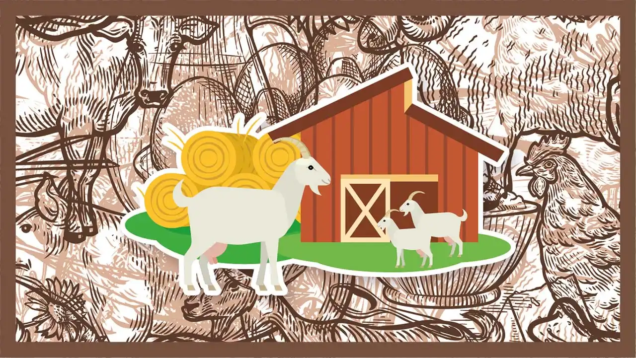 Tiere rund ums Haus