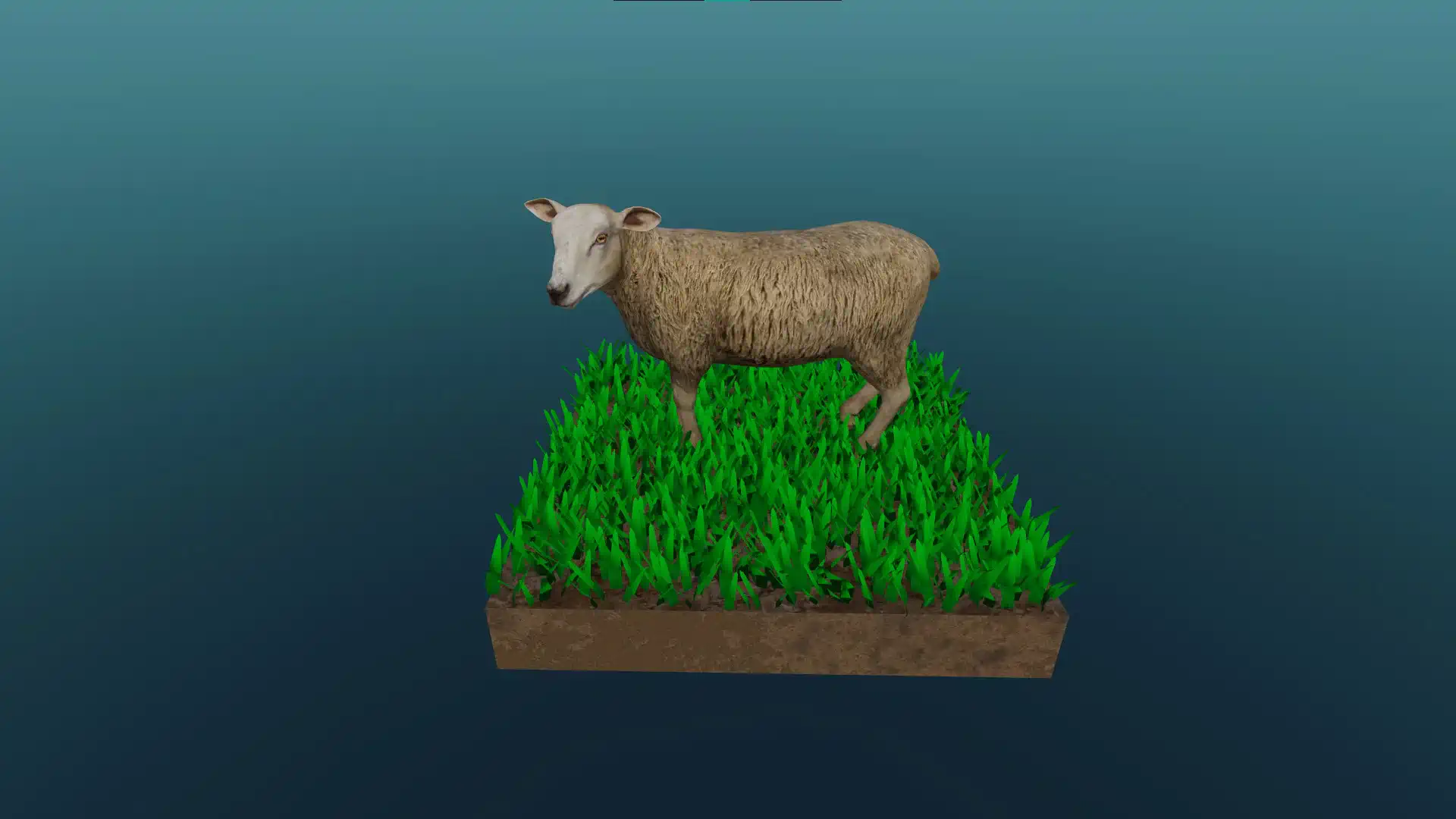 Das Schaf