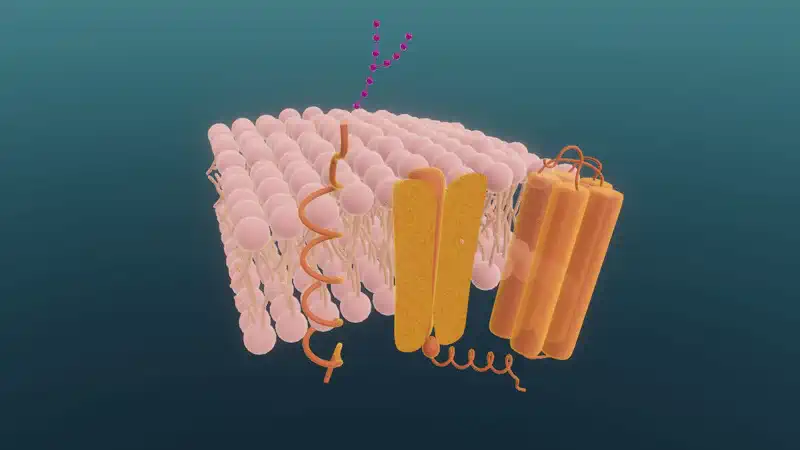 Biological membranes