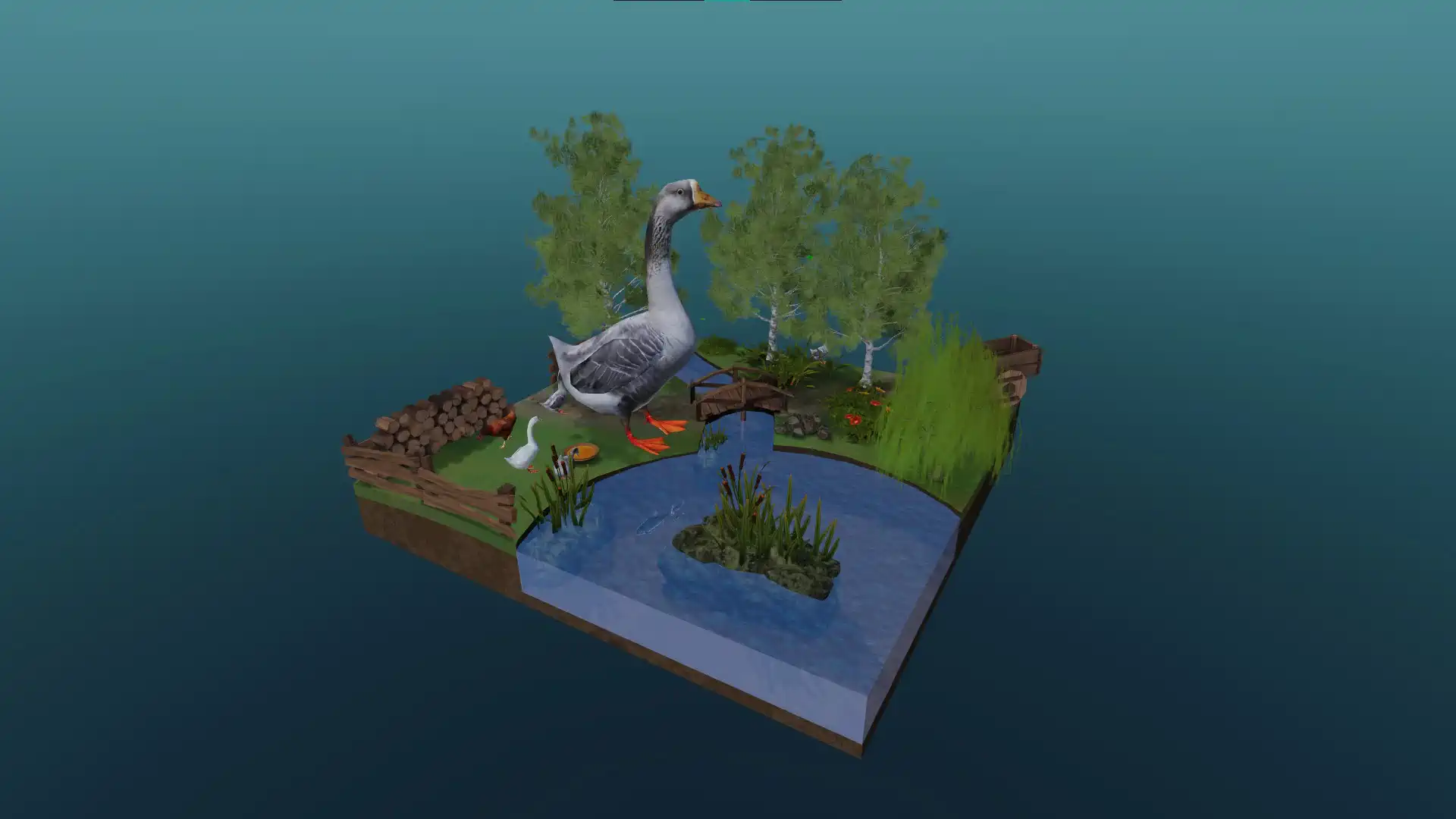 The domestic goose