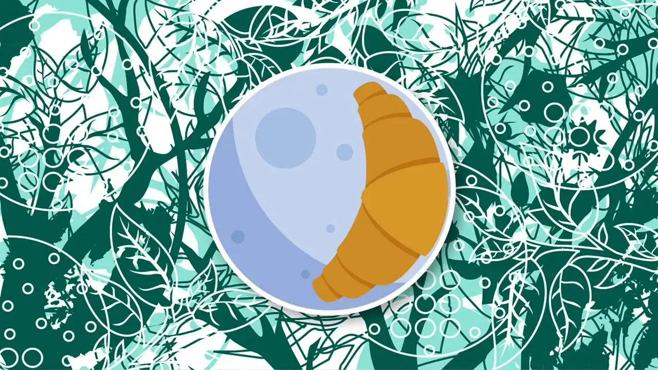 The Phases of the Moon